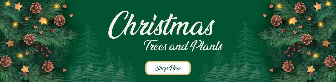 gifts/christmas-home-decor