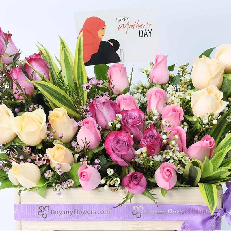 Abundance 31 Roses for Mothers Day
