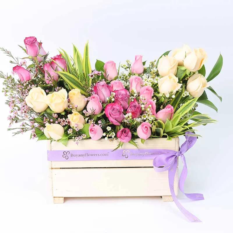 Abundance 31 Roses