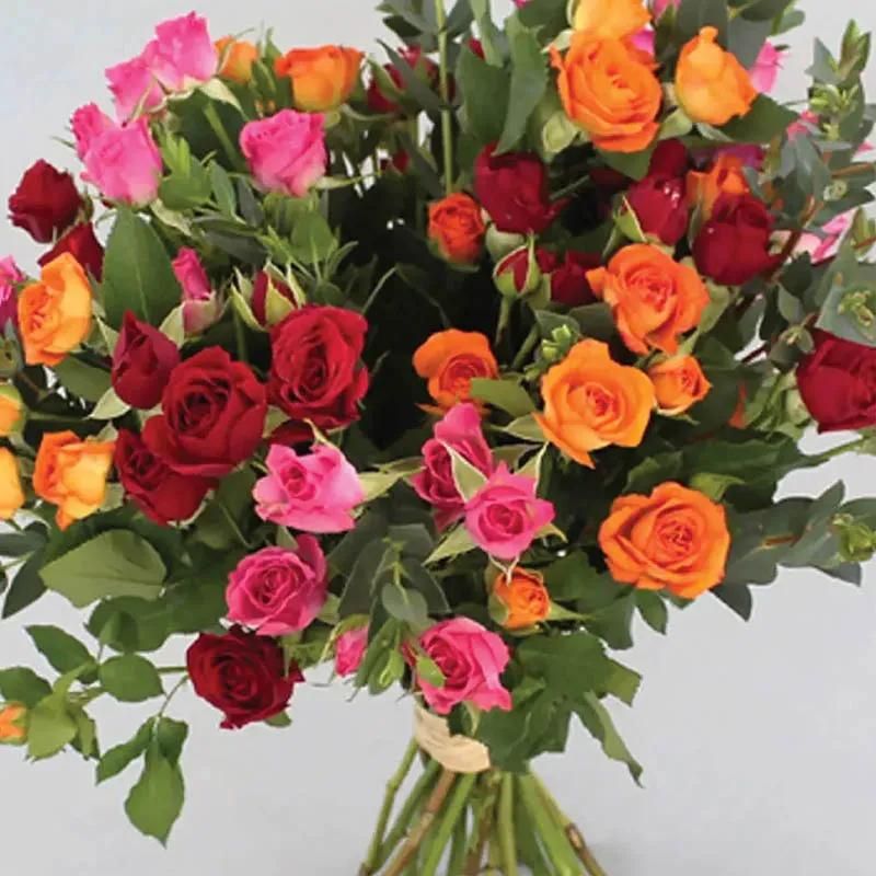 Beautiful Bunch Baby Roses
