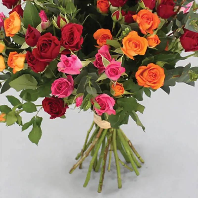 Beautiful Bunch Baby Roses