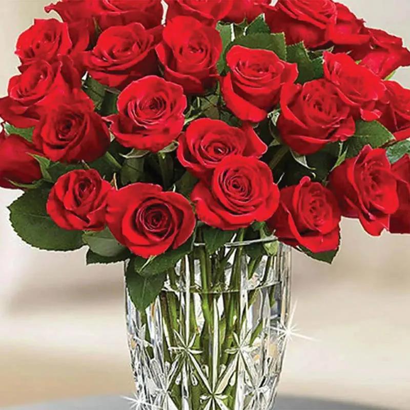 Beauty Of Red Roses