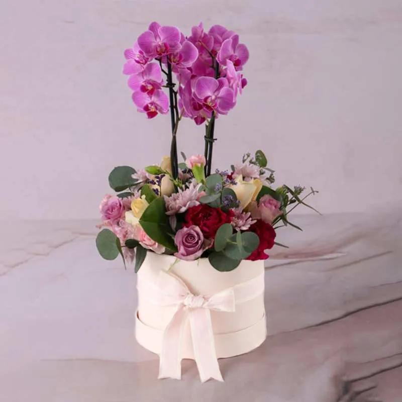 Beauty Plants and Flowers in Box