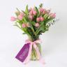 Blush 21 Pink Tulips