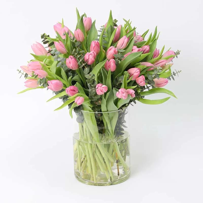Blush 51 Pink Tulips