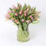 Blush 51 Pink Tulips