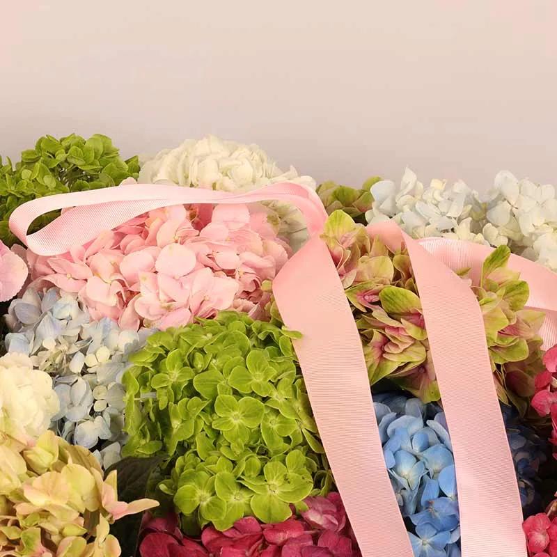Bonanza 35 Hydrangea in Box