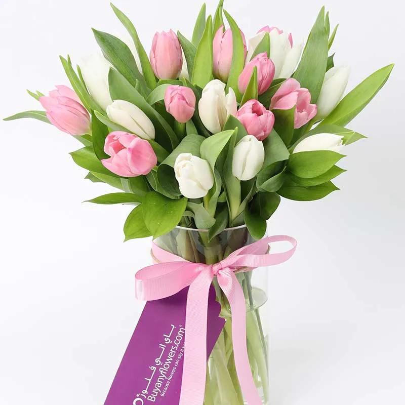 Calm and Beauty 21 Tulips