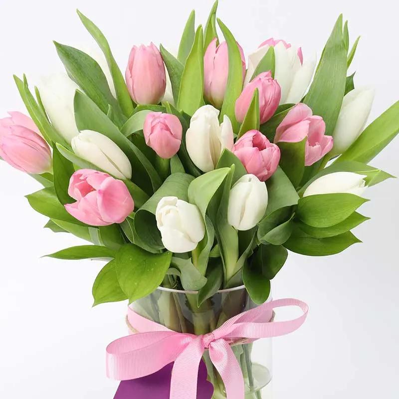 Calm and Beauty 21 Tulips