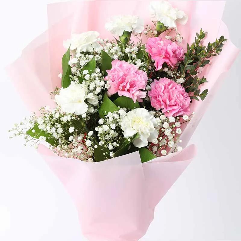 Candy 9 Carnations