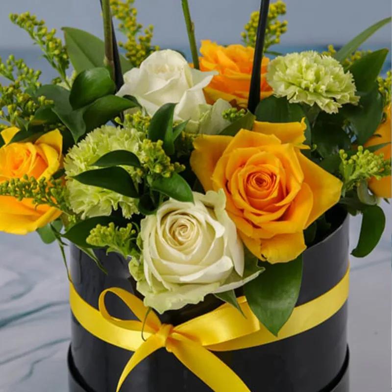 Care Plants and Flowers in Box