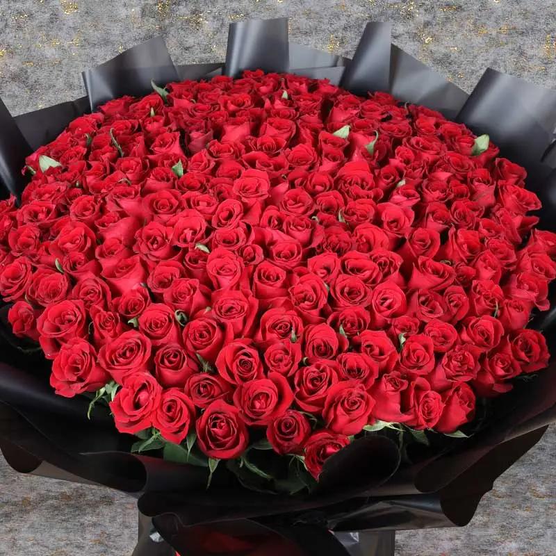 Deep Emotions 201 Red Roses Bouquet