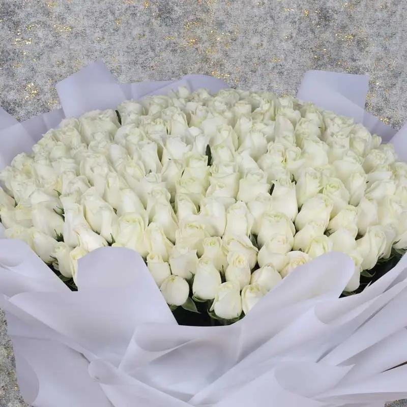 Delicate 201 White Roses Bouquet