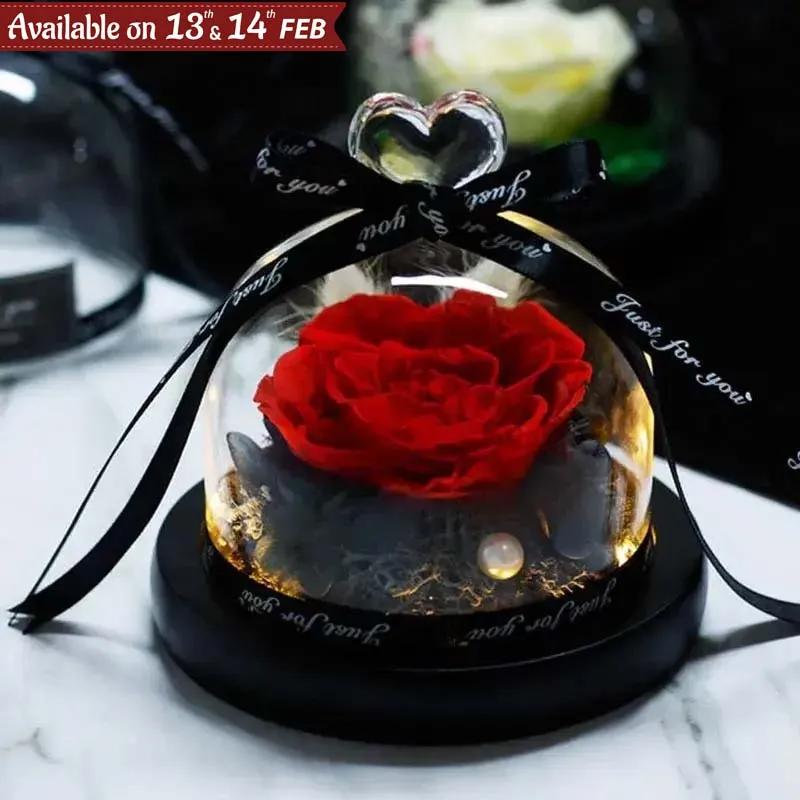 Designer Red Preserved Rose with Box