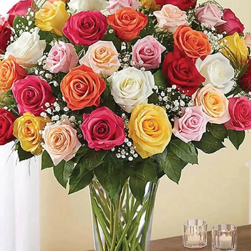 Elegant 50 Mix Color Roses In Vase