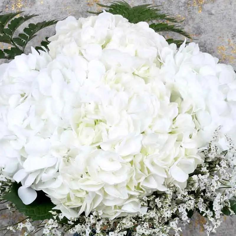 Elegant White Hydrangea Arrangement