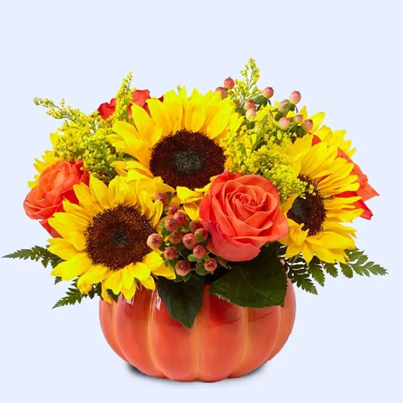 Eternal Sunshine Arrangement