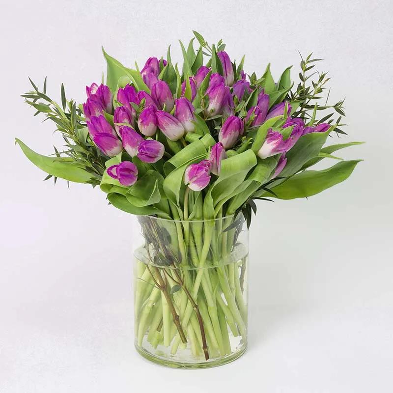 Forest 51 Purple Tulips