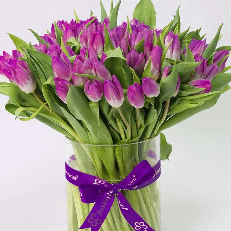 Forest 75 Purple Tulips