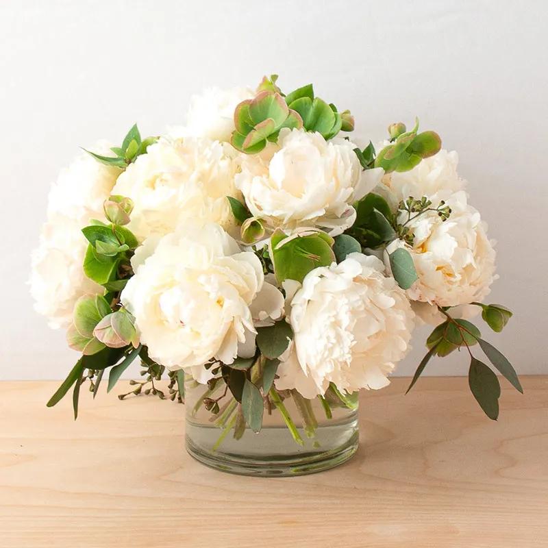 Freeze 11 White Peonies