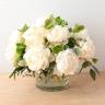 Freeze 11 White Peonies
