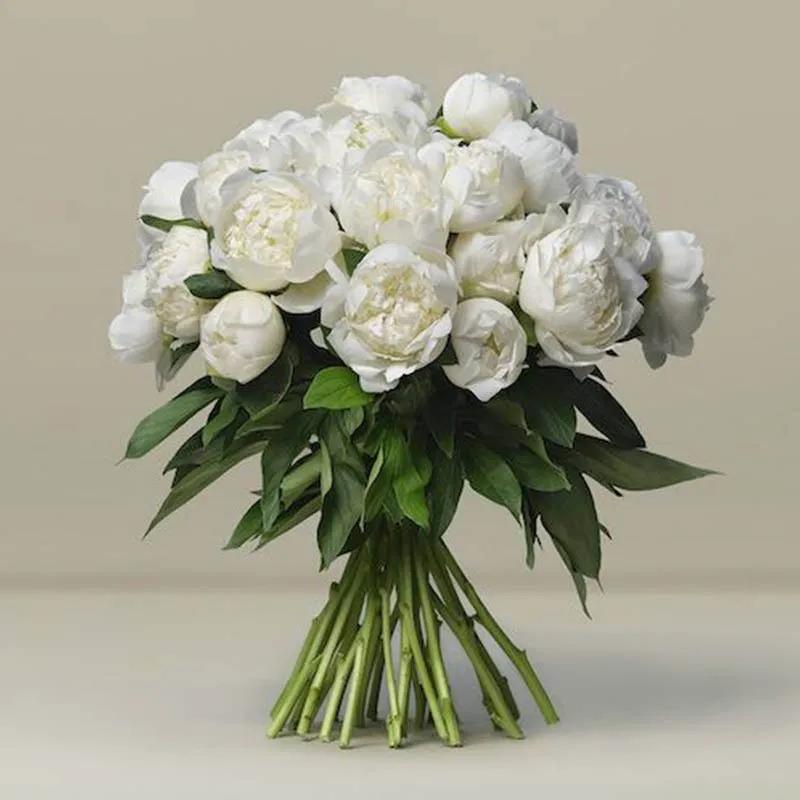 Freeze 30 White Peonies Bunch