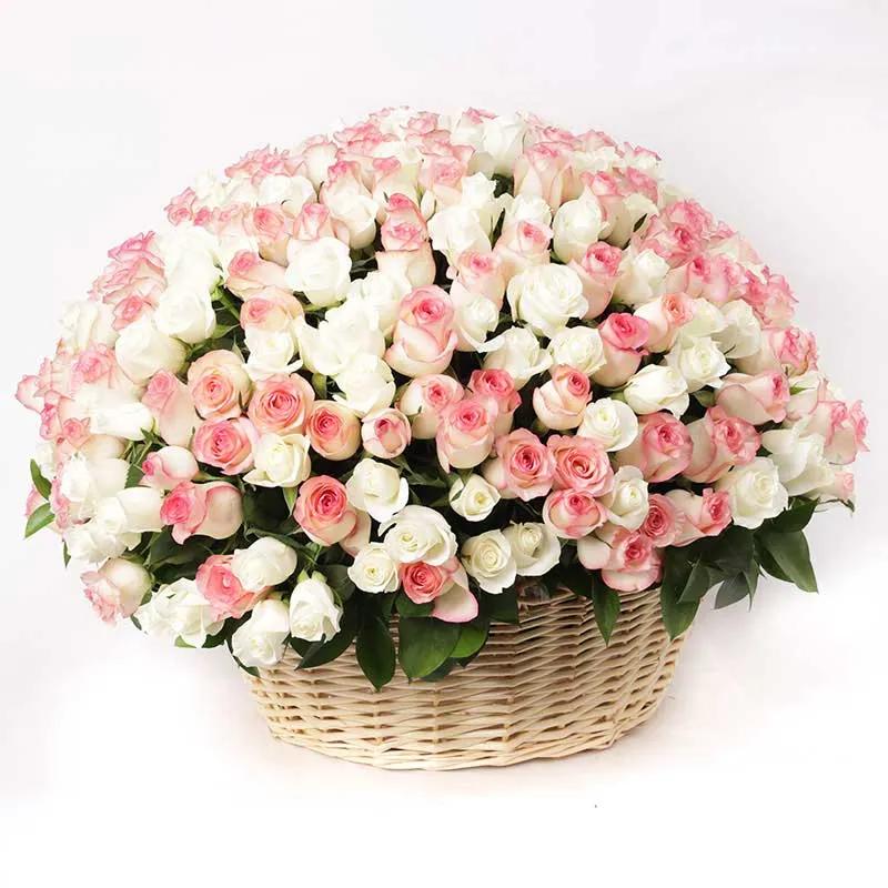 Grand Affection 301 Roses Basket