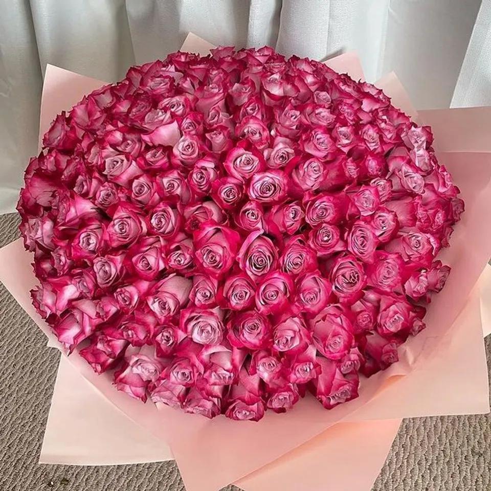 Grand Bouquet 201 Purple Roses