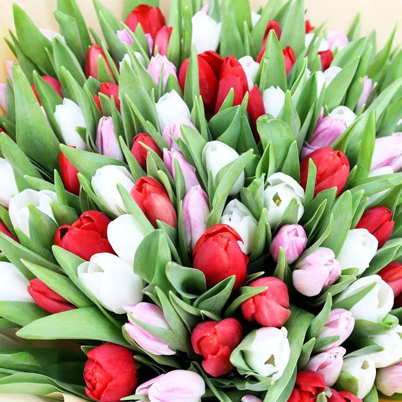 Grand Hug 101 Tulips Bouquet