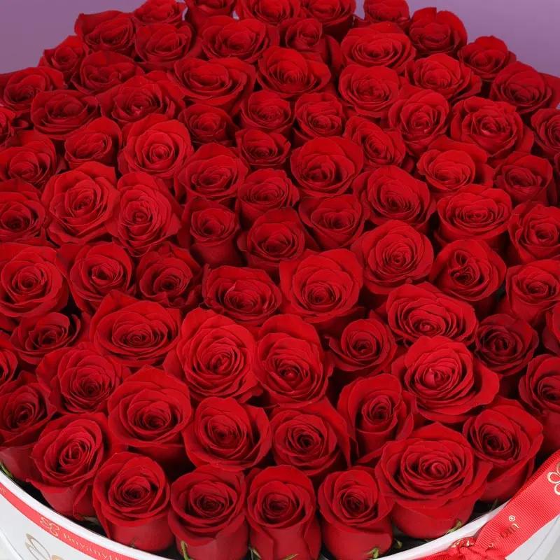 Grand Red Roses Love Box White