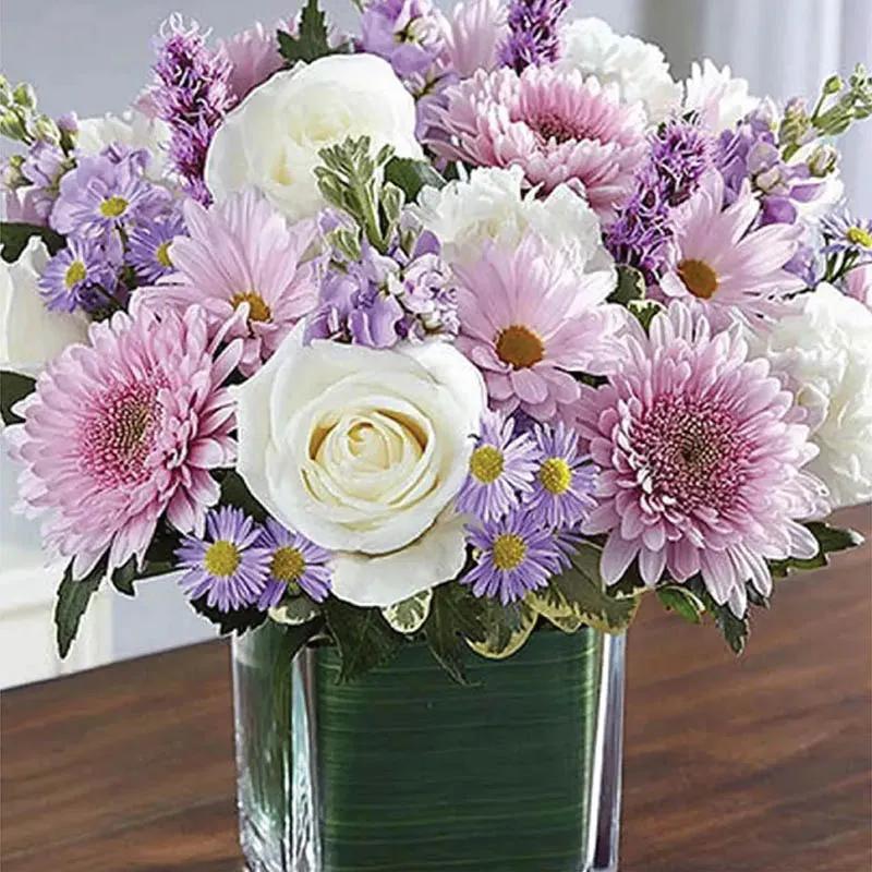 Healing Sorrow Lavender and White