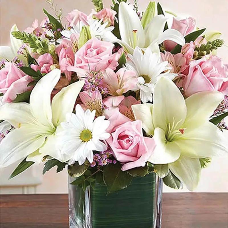 Healing Sorrow Pink and White