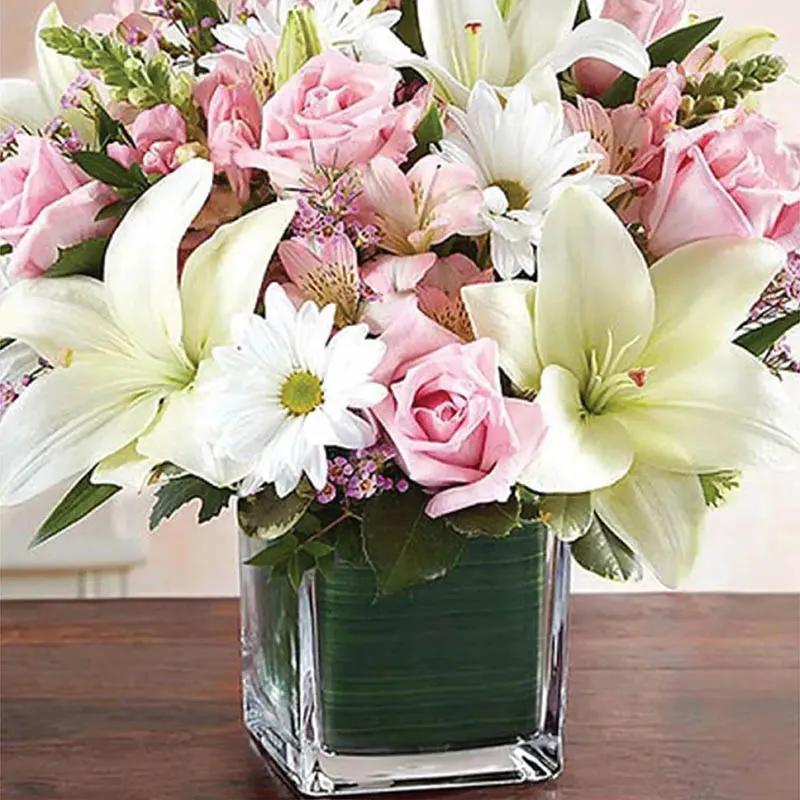 Healing Sorrow Pink and White