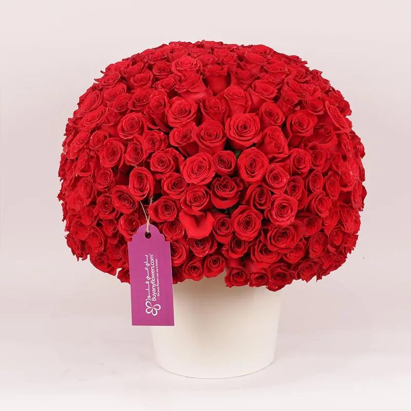 Love 201 Red Roses Arrangement