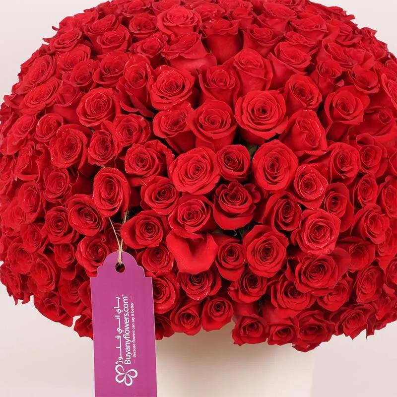 Love 201 Red Roses Arrangement