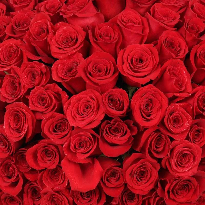 Love 201 Red Roses Arrangement