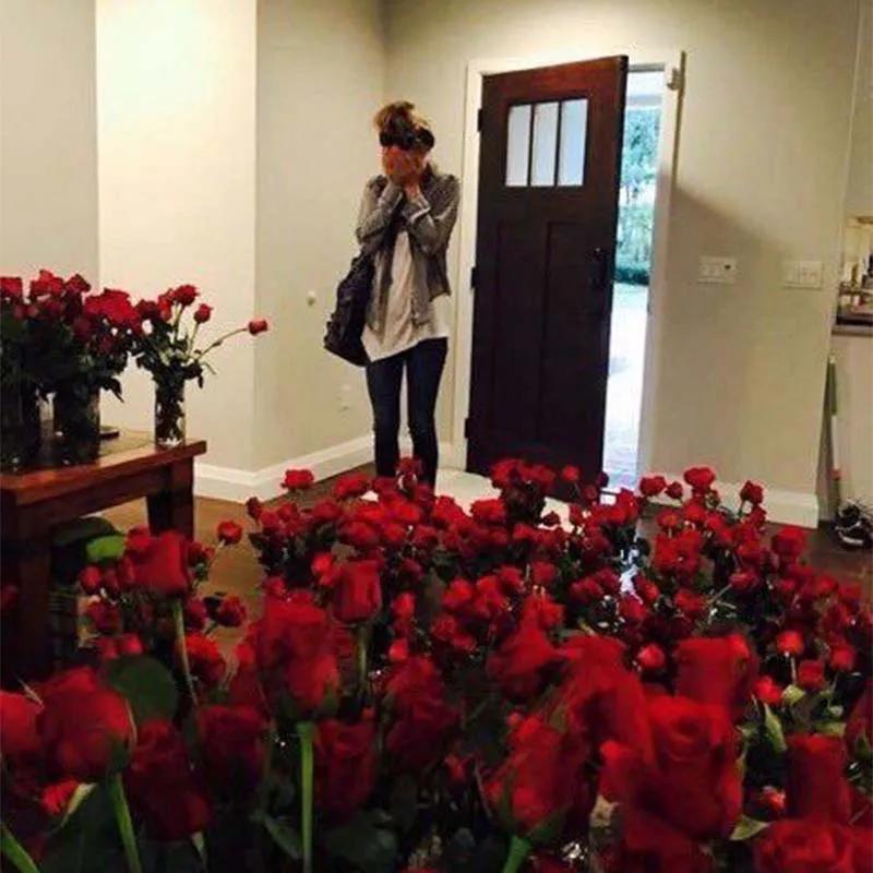Love Language 525 Red Roses