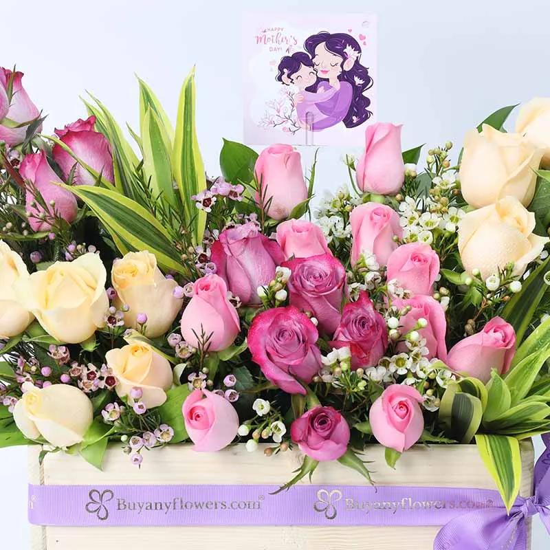 Mothers Day Abundance 31 Roses