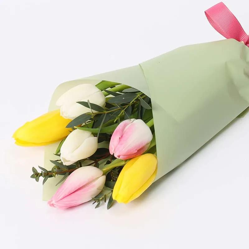 Natures Bulb 6 Tulips