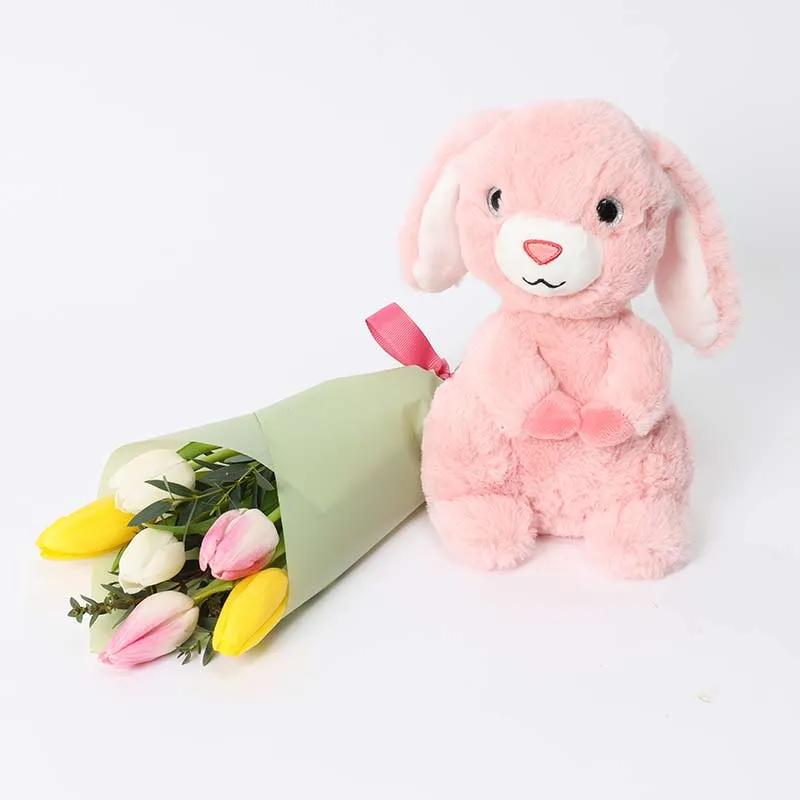 Natures Bulb and Pink Bunny Soft Toy