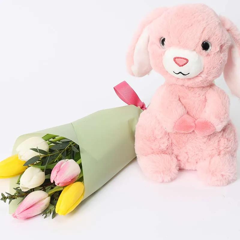 Natures Bulb and Pink Bunny Soft Toy