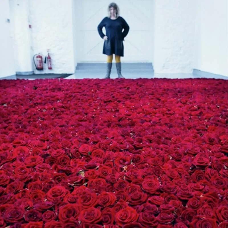 Paradise 10001 Red Roses
