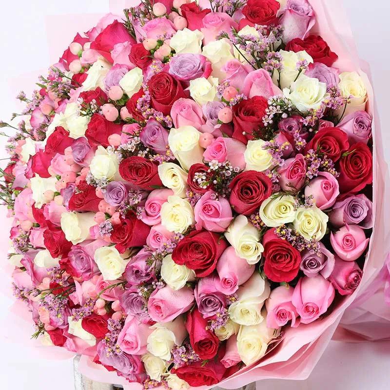 Pretty Lady 151 Roses