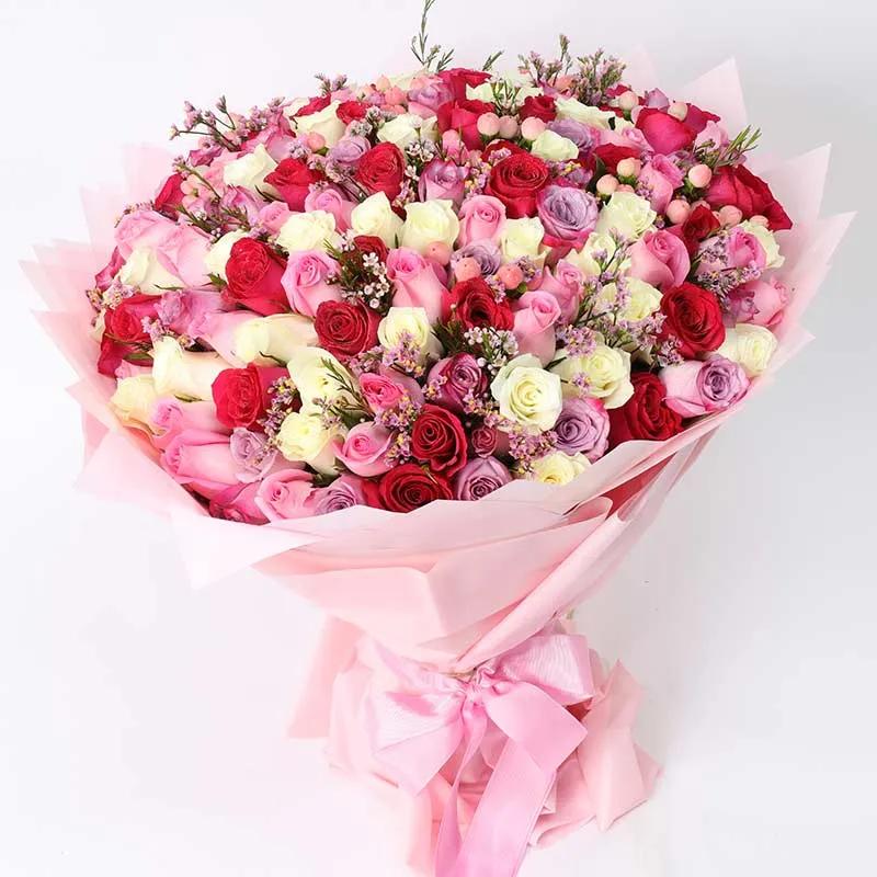 Pretty Lady 151 Roses