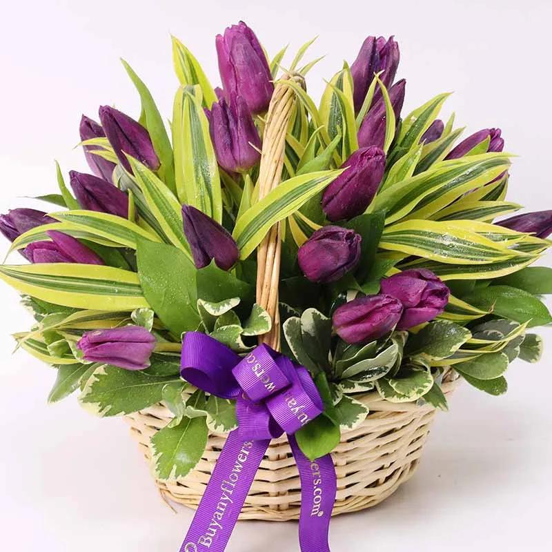 Purple Forest 25 Tulips Basket
