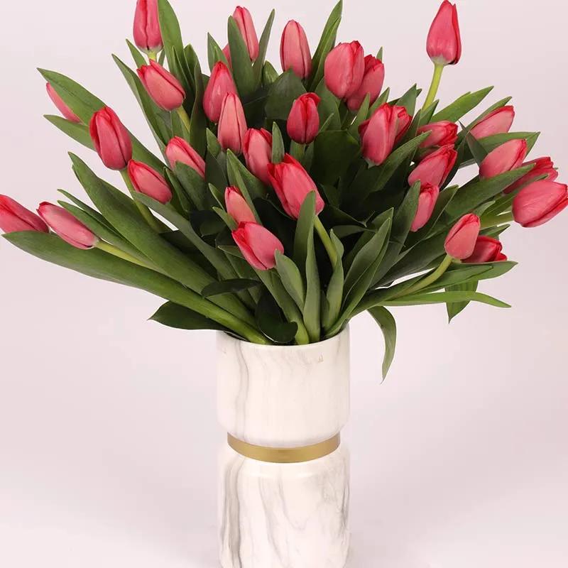 Scarlet 31 Red Tulips