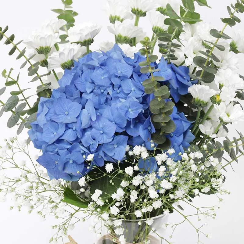 Sky High Flower Wishes