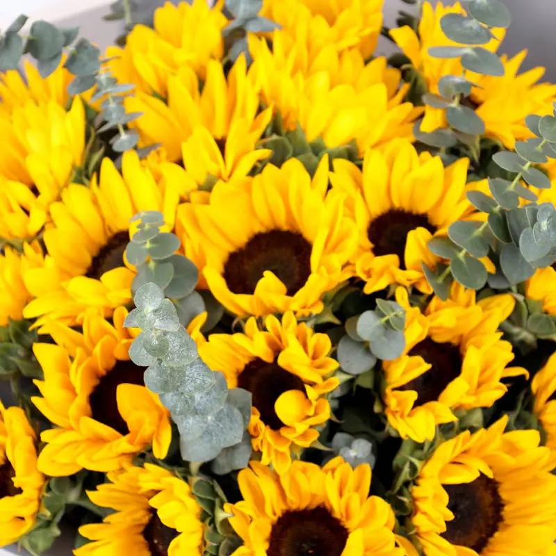 Symphony 11 Sunflower Bouquet
