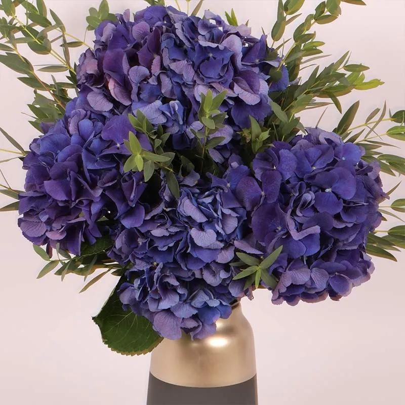 Twilight Hydrangea Arrangement