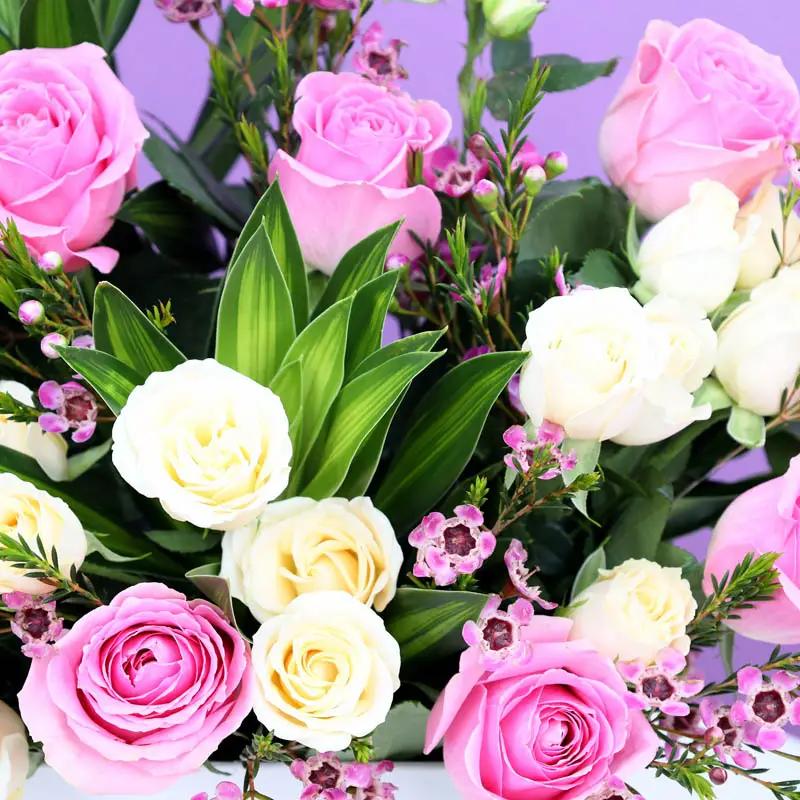 Warmth Pink and Peach Flower Box